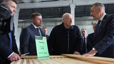 Рабочая поездка в Петриковский район Гомельской области