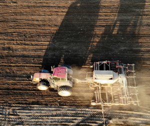 У Беларусі завяршаецца сяўба проса