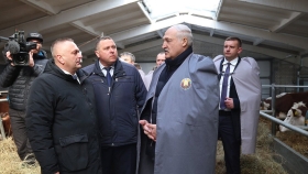 Рабочая поездка в Дрибинский район Могилевской области